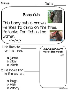 Reading Comprehension Level C And D Worksheets Teaching Resources Tpt