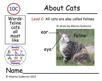 Preview of About Cats Level C #10