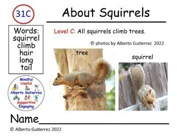 Preview of About Squirrels #31C