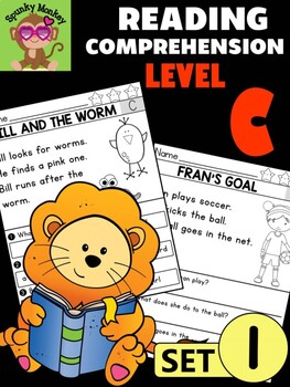Preview of Level C Reading Comprehension Passages & Questions - SET 1