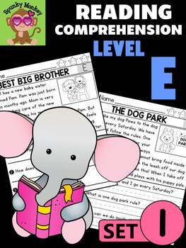 Preview of Level E Reading Comprehension Passages & Questions - SET 1