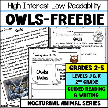 Preview of Level J Reading Comprehension Passage Owls 2nd Grade Reading Passage Freebie