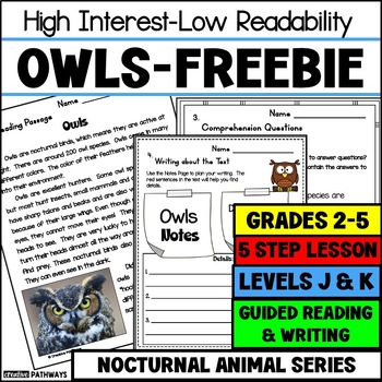Preview of Level J Reading Comprehension Passage Owls 2nd Grade Reading Passage Freebie