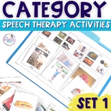 Basic Category Speech Therapy Activities