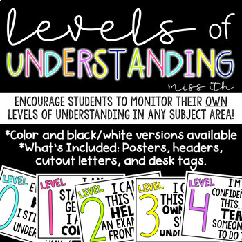 Preview of Levels of Understanding Posters