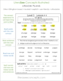 Level 1 Orton-Gillingham based LiteraSee Lessons, Phonemic