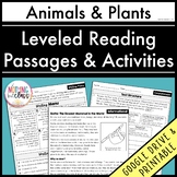 Leveled Reading Comprehension Passages with Questions | An