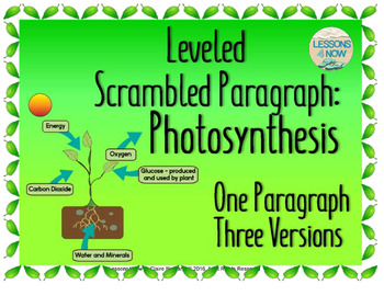 Preview of Photosynthesis: Leveled Scrambled Paragraph {One Paragraph, Three Versions}