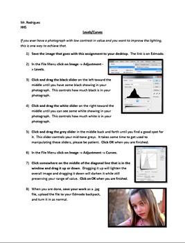 Preview of Levels & Curves - Photoshop (Advertising Art Assignment 5)