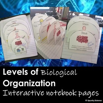 Preview of Levels of Biological Organization Activity