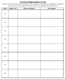 Levels Of Biological Organization Worksheets & Teaching Resources | TpT