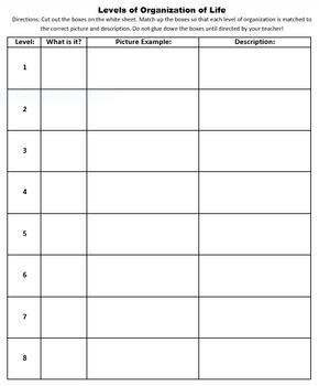 Levels of Biological Organization Cut and Paste Activity by The Science ...