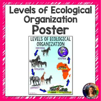 Preview of Levels of Ecological Organization Poster