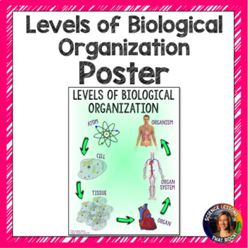 Preview of Levels of Biological Organization Poster
