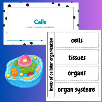 Preview of Levels of Cellular Organization Bundle