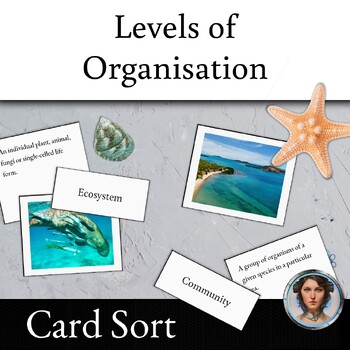Preview of Levels of Ecological Organisation Card Sort - Seagrass Meadows - Torres Strait