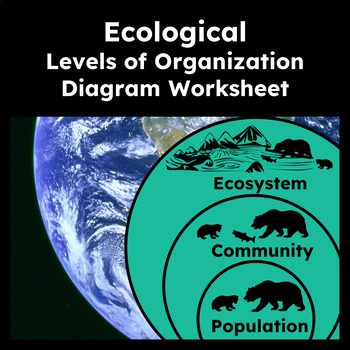 Levels of Ecological Organization Diagram Activity by The Lesson Hub