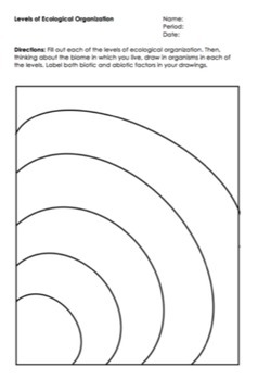 Levels of Ecological Organization Worksheet by Science Lessons That Rock