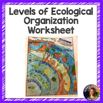 Preview of Levels of Ecological Organization Worksheet