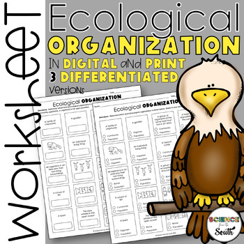 Preview of Levels of Ecological Organization Ecosystems Worksheet Activity Print & Digital