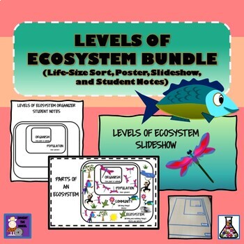 Preview of Levels  of Ecosystems Bundle - Life-Sized Sort, SlideShow, Student Notes, Poster