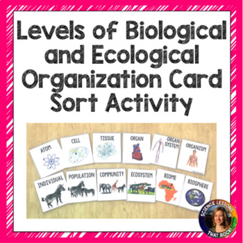 Preview of Levels of Organization Card Sort Activity