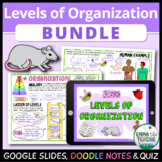 Levels of Organization Bundle - Google Slides Activities, 