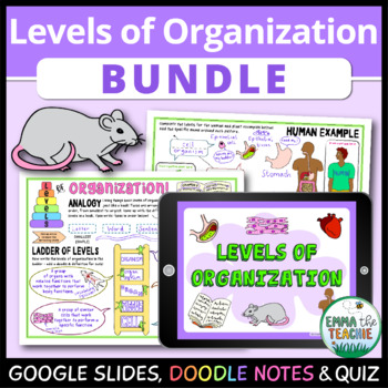 Preview of Levels of Organization Bundle - Google Slides Activities, Doodle Notes and Quiz