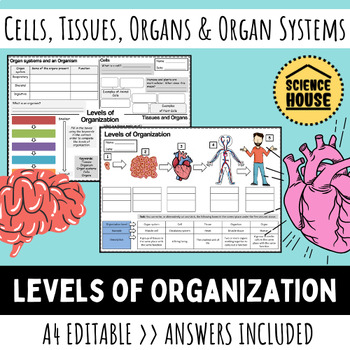 Cells, Tissues and Organs Revision Quiz by Cre8tive Resources