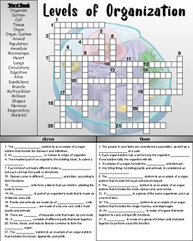Levels of Organization Crossword Puzzle by Bearcat Science TPT