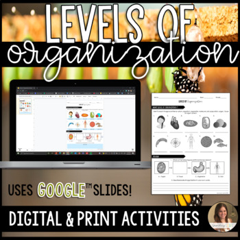 Preview of Levels of Organization Activities - Digital Google Slides™ and Print