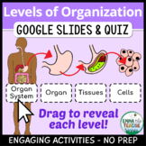 Levels of Organization Digital INB - Google Slides Activit