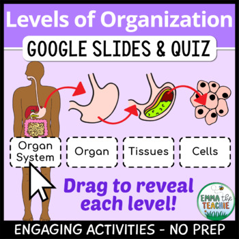 Preview of Levels of Organization Digital INB - Google Slides Activities and Quiz