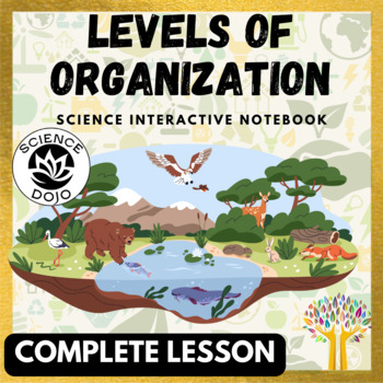 Preview of Levels of Organization Ecology Lesson- Notes, Slides and Activity