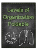 Levels of Organization Foldable