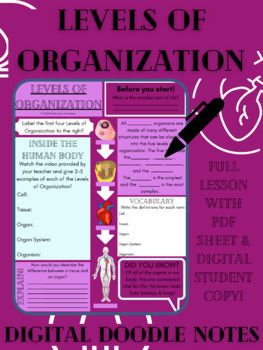 Preview of Levels of Organization Guided + Digital Doodle Notes