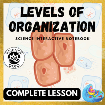 Preview of Levels of Organization Notes, Slides and Activity Cell Lesson