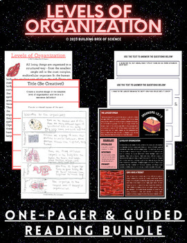 Preview of Levels of Organization One-Pager + Guided Reading Activity Bundle
