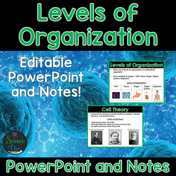 Preview of Levels of Organization - PowerPoint and Notes