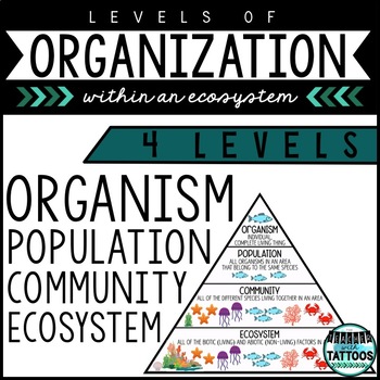 Preview of Levels of Organization in an Ecosystem