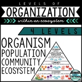Levels of Organization in an Ecosystem