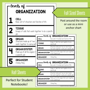 Levels of Organization Science Poster, Anchor Chart and Reference Guide