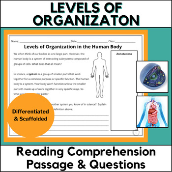 Preview of Levels of Organization - Science Reading Comprehension Passage & Questions PDF