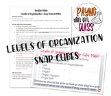 Levels of Organization- Snap Cube Activity