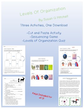 Preview of Levels of Organization-Individual Sorting Cards, Group Activity and Quiz