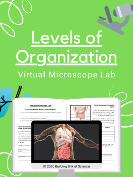 Preview of Levels of Organization Virtual Microscope Lab