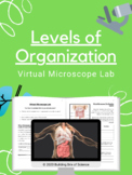 Levels of Organization Virtual Microscope Lab