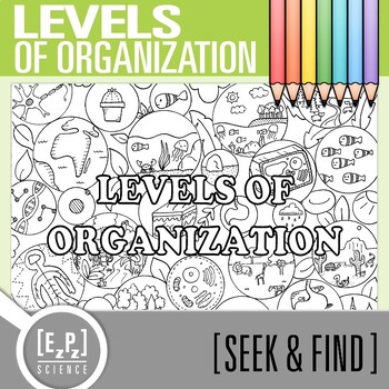 Preview of Levels of Organization Vocabulary Search Activity | Seek and Find Science Doodle