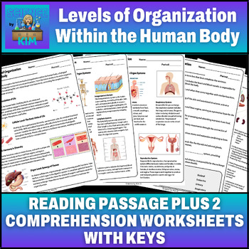 Preview of Levels of Organization Within The Human Body Reading Comprehension 