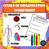 Levels of Organization Worksheet Cells Tissues Organs and 